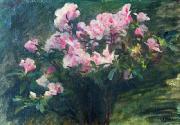 Charles-Amable Lenoir Study of Azaleas Spain oil painting artist
